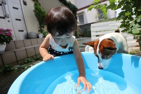 子犬と子供の水遊び