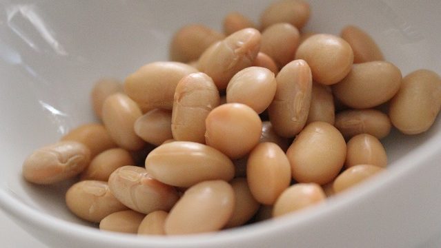 発芽蒸し大豆