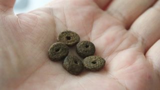 カナガンの粒