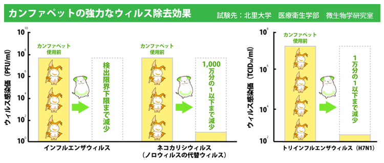 カンファペットの除菌効果